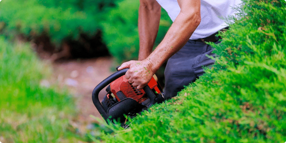 Les outils nécessaires pour un jardin propre