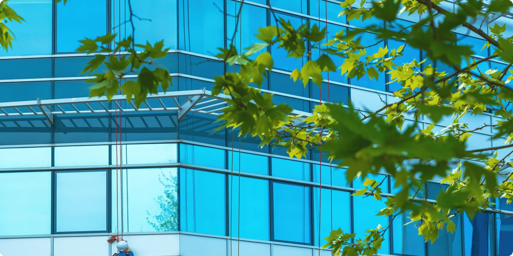 Importance du nettoyage des façades